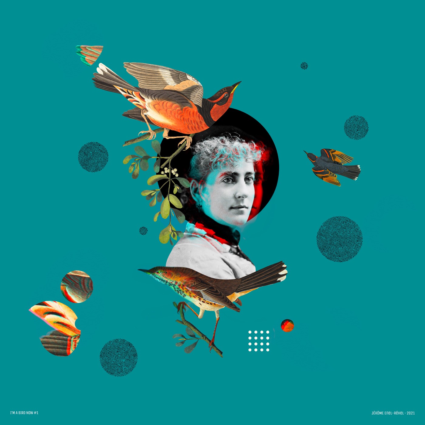 I'm a bird now – Étude 1 — collage de Jérôme Enel-Réhel