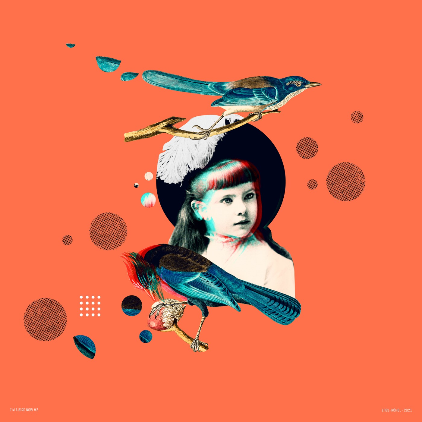 I'm a bird now – Étude 2 — collage de Jérôme Enel-Réhel