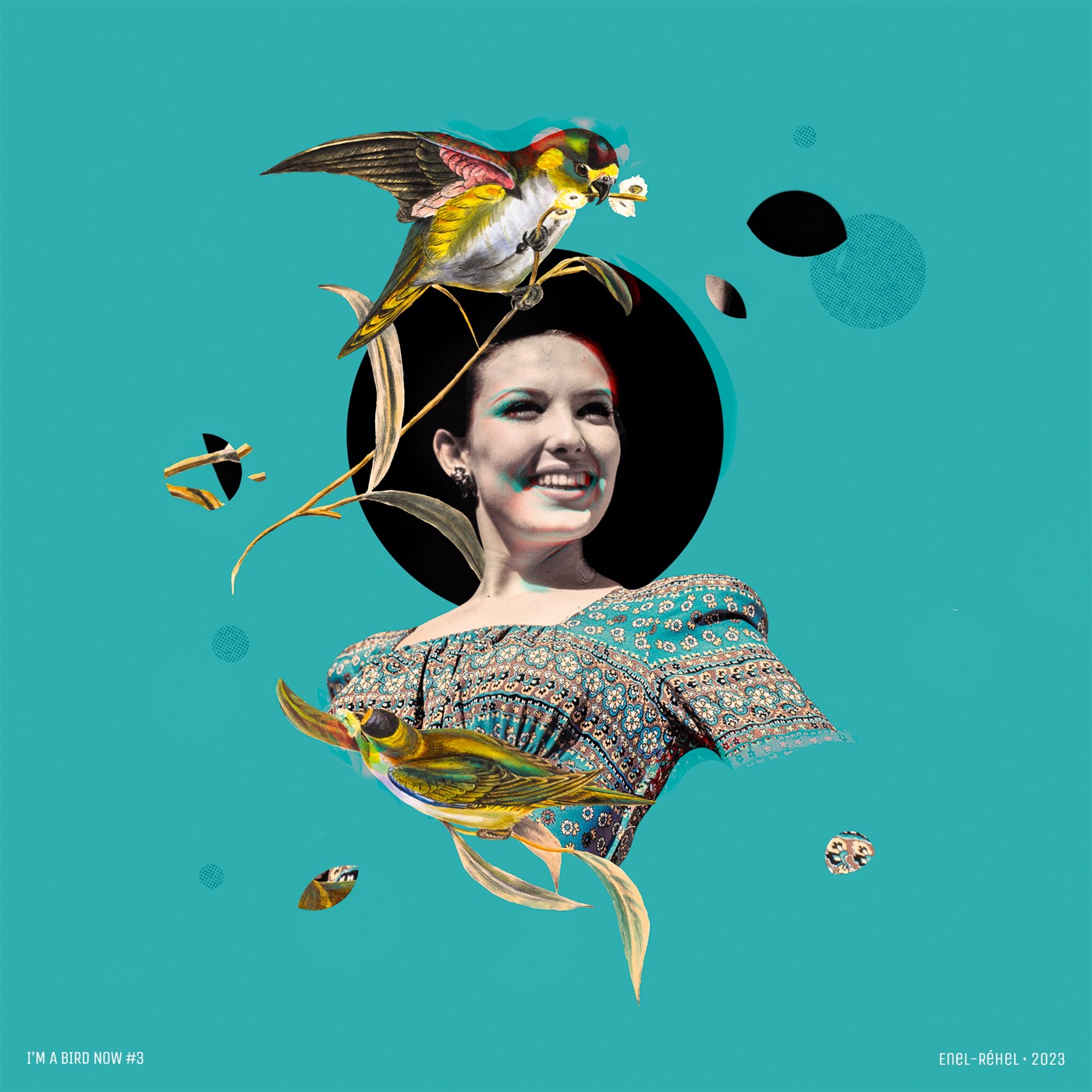 I'm a bird now – Étude 3 — collage de Jérôme Enel-Réhel
