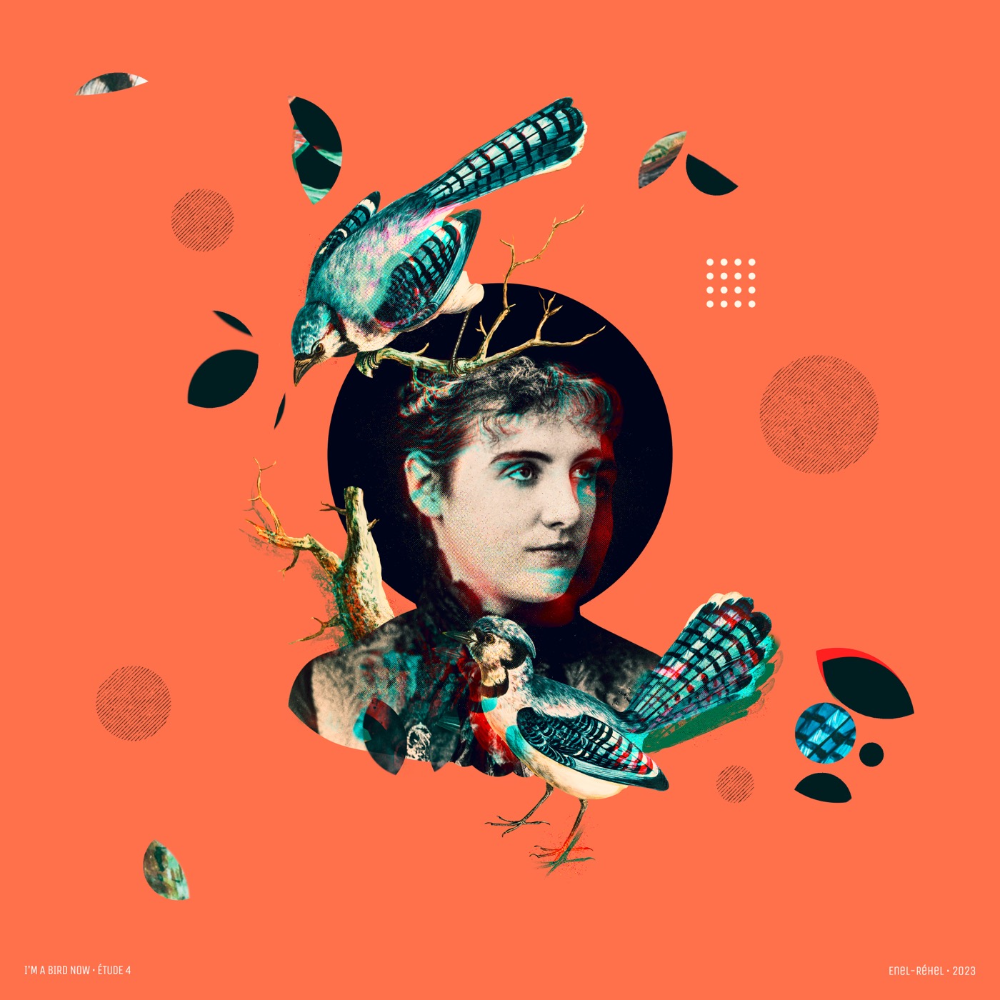 I'm a bird now – Étude 4 — collage de Jérôme Enel-Réhel