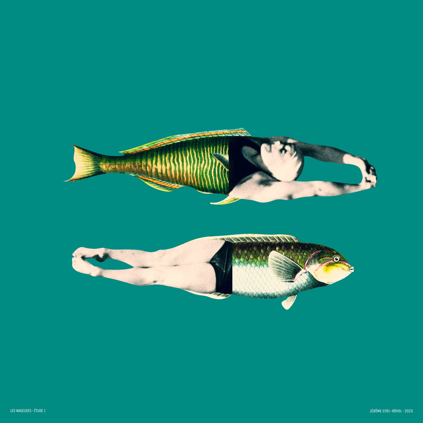 Les nageuses – Étude 1 — collage de Jérôme Enel-Réhel