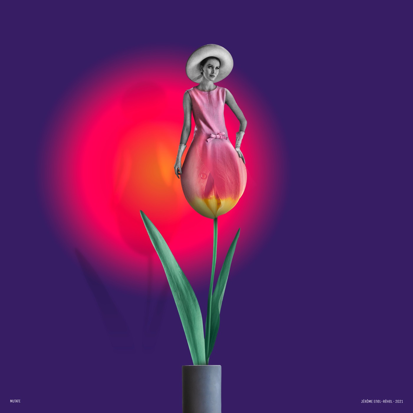 Mutate — collage de Jérôme Enel-Réhel