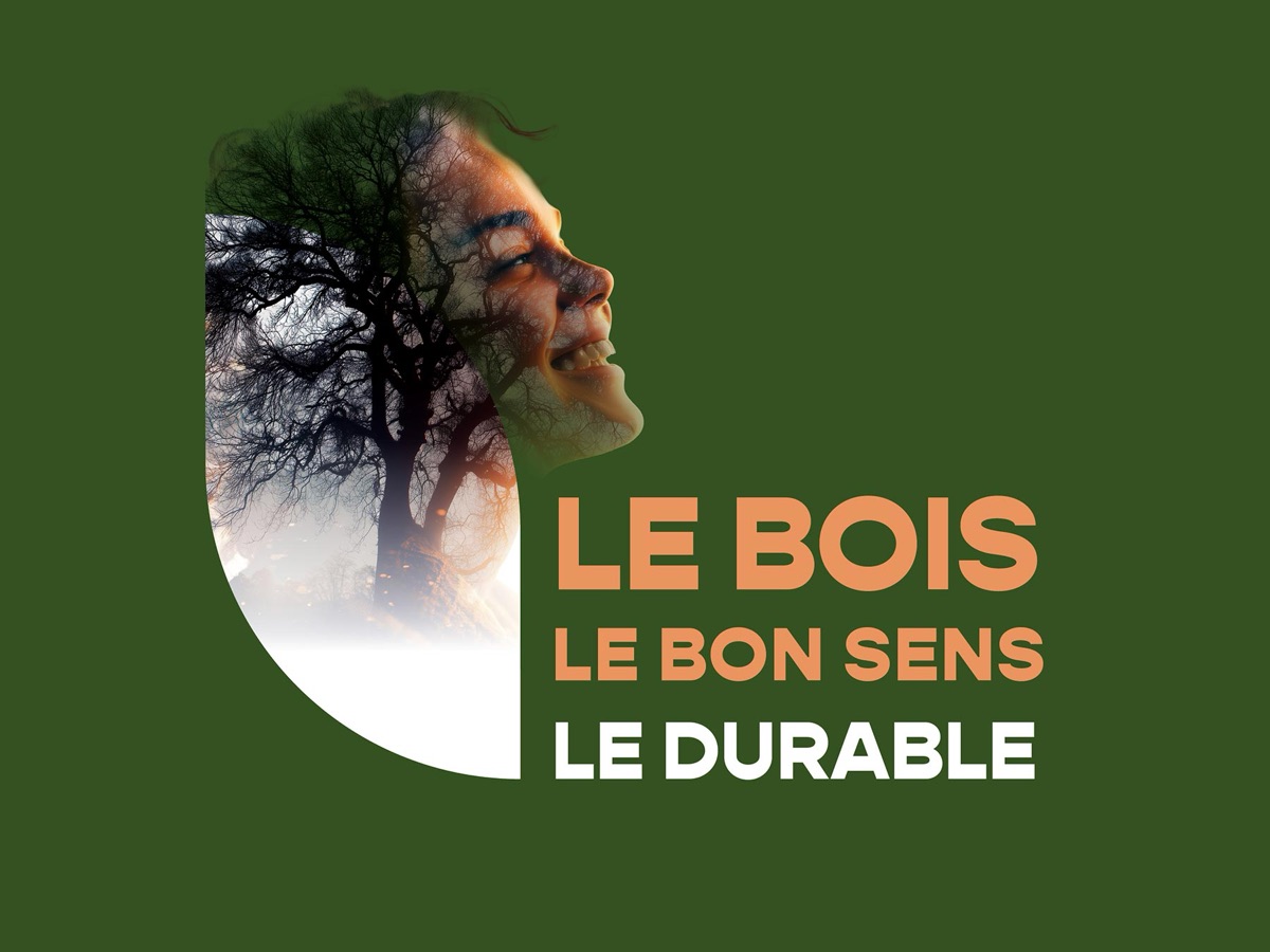 Maisons Naturéa — projet de design graphique de Jérôme Enel-Réhel