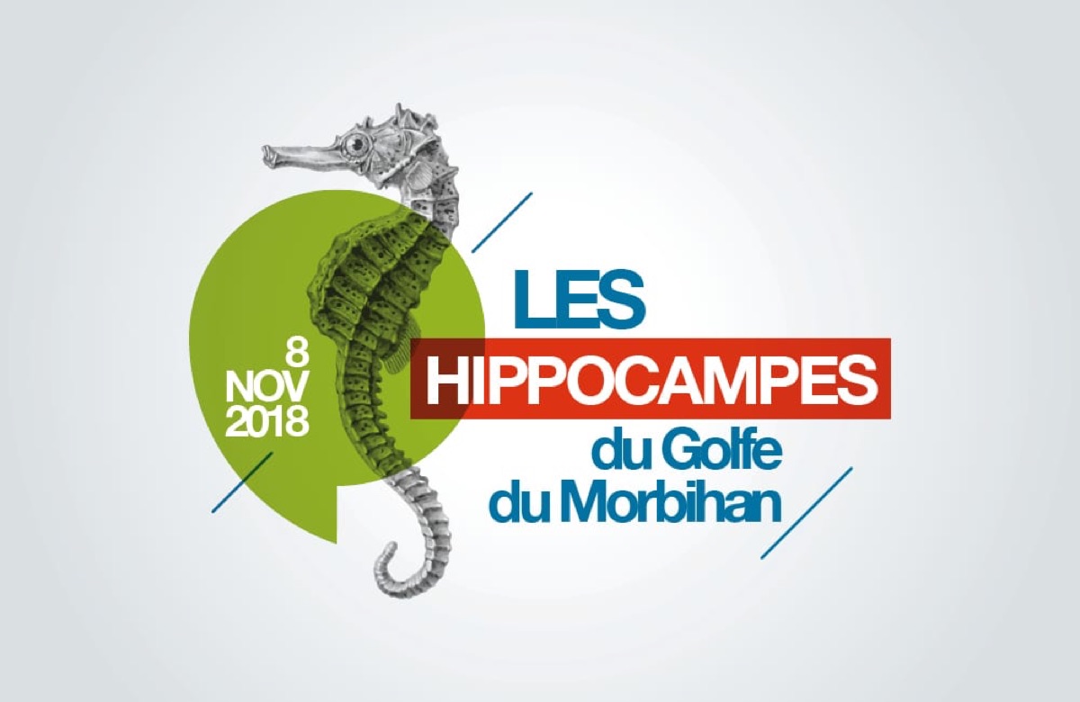 Les Hippocampes du Golfe du Morbihan — projet de design graphique de Jérôme Enel-Réhel