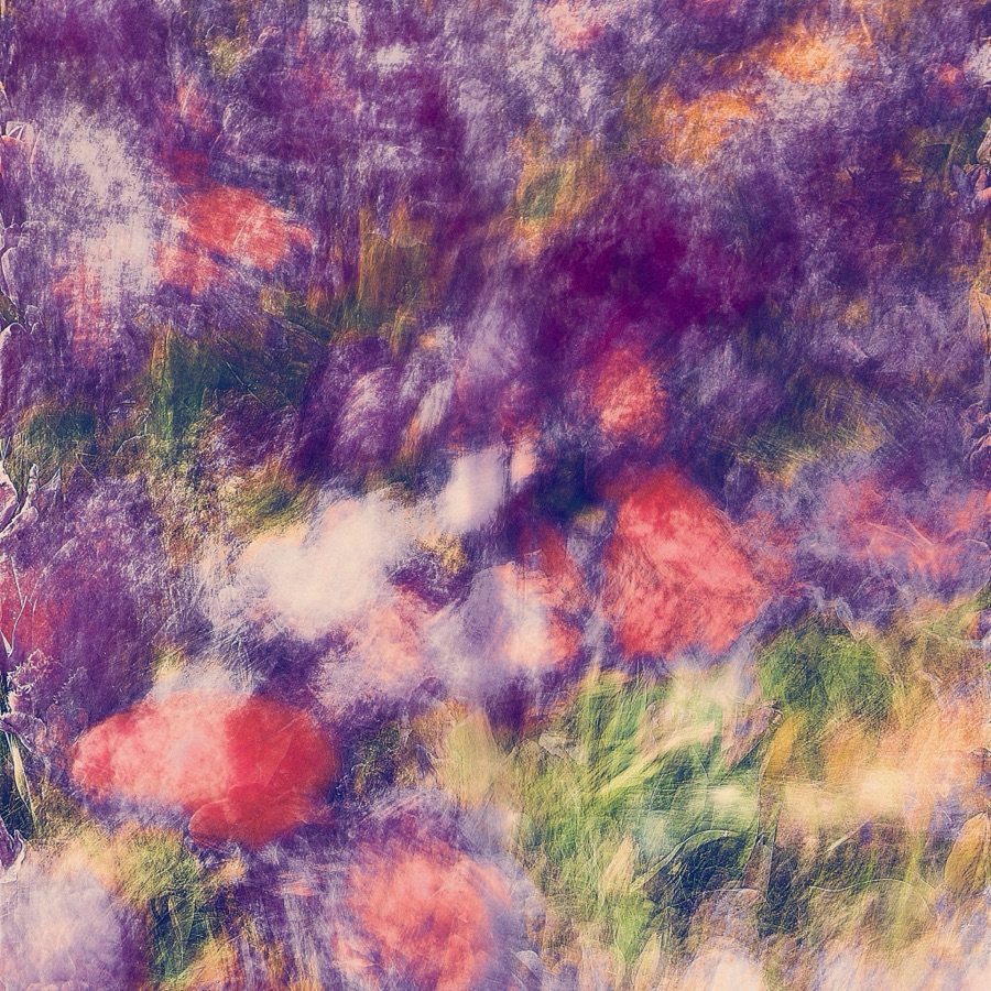 Keukenhof — série photographique de Jérôme Enel-Réhel